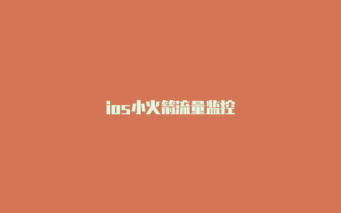 ios小火箭流量监控