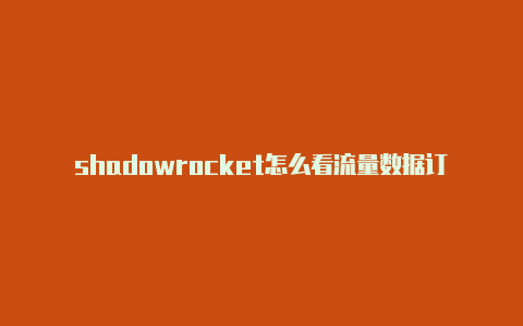 shadowrocket怎么看流量数据订阅地址-Shadowrocket(小火箭)