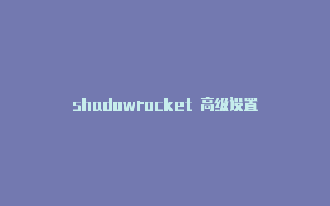 shadowrocket 高级设置