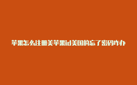苹果怎么注册美苹果id美国的忘了密码咋办国id平板-Shadowrocket(小火箭)