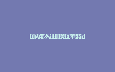 国内怎么注册美区苹果id-Shadowrocket(小火箭)
