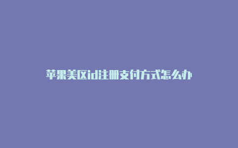 苹果美区id注册支付方式怎么办-Shadowrocket(小火箭)