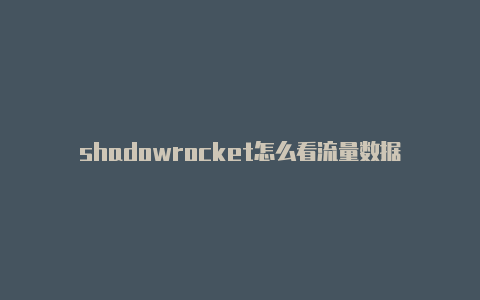 shadowrocket怎么看流量数据