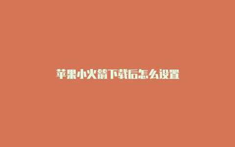 苹果小火箭下载后怎么设置