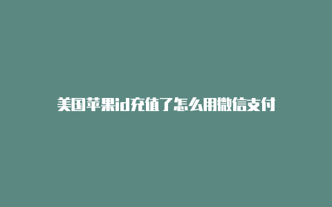 美国苹果id充值了怎么用微信支付