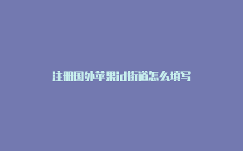 注册国外苹果id街道怎么填写