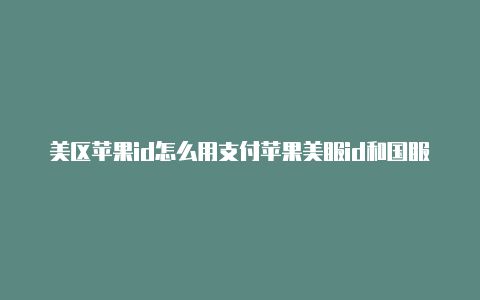 美区苹果id怎么用支付苹果美服id和国服区别在哪宝付款