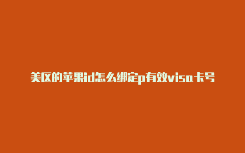 美区的苹果id怎么绑定p有效visa卡号美国苹果idaypal