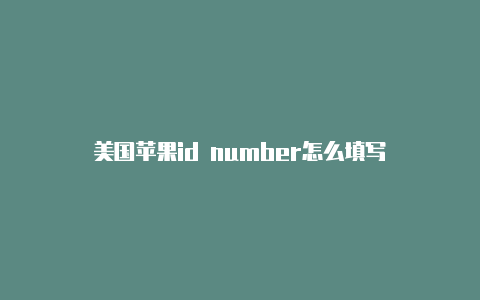 美国苹果id number怎么填写