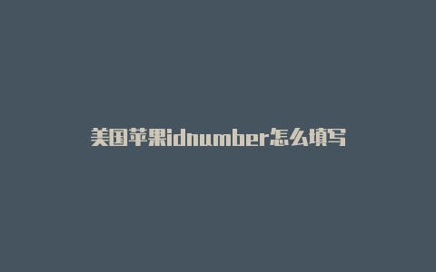 美国苹果idnumber怎么填写