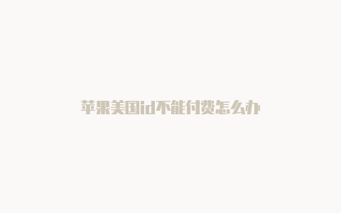 苹果美国id不能付费怎么办