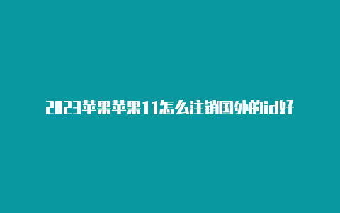 2023苹果苹果11怎么注销国外的id好id和密码国外