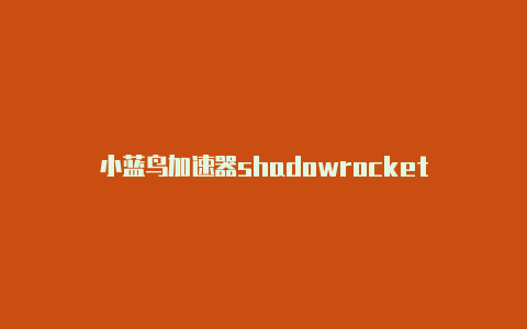 小蓝鸟加速器shadowrocket