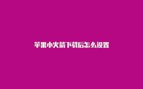 苹果小火箭下载后怎么设置