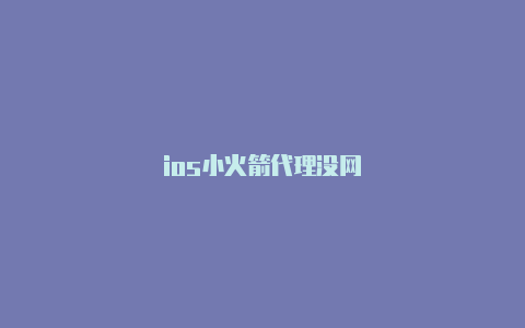 ios小火箭代理没网