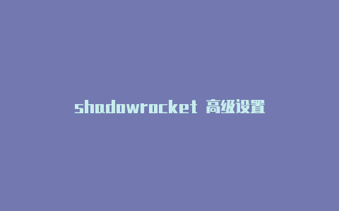 shadowrocket 高级设置-Shadowrocket(小火箭)