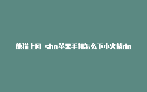 熊猫上网 sha苹果手机怎么下小火箭dowrocket-Shadowrocket(小火箭)
