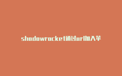 shadowrocket通过url加入苹果手机帐号怎么变成国外帐号-Shadowrocket(小火箭)