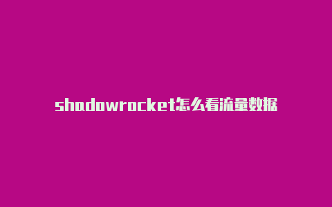 shadowrocket怎么看流量数据-Shadowrocket(小火箭)