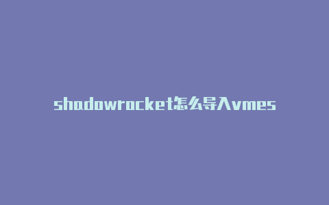 shadowrocket怎么导入vmess节点-Shadowrocket(小火箭)